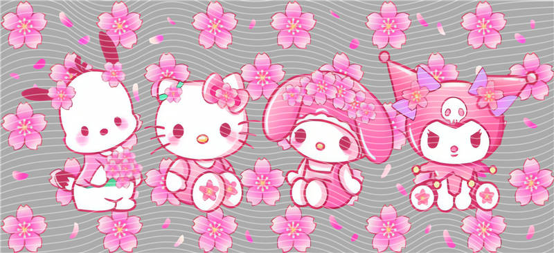 16oz Sanrio-K 90